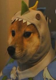 ����˼���ɽ��