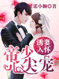 ���Alpha��������