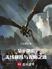 骑士领主:无限模拟与光明之路