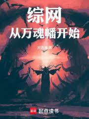 综网:从万魂幡开始