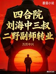 四合院,刘海中三叔二野副师转业