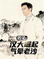 名义:汉大崛起,气晕老沙