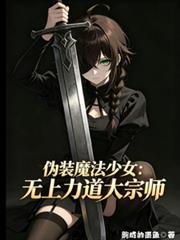 伪装魔法少女:无上力道大宗师